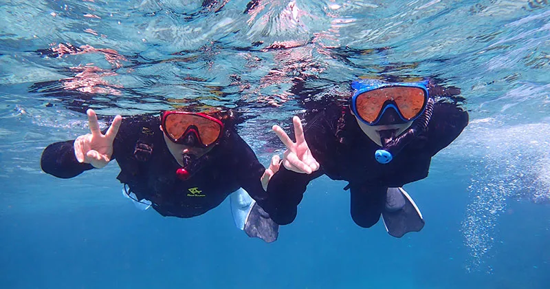 Snorkeling or scuba diving